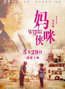 在线观看国产v片
